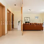 Apartment Feliz