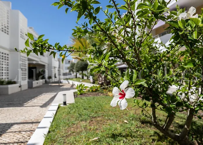 アパート Feliz *